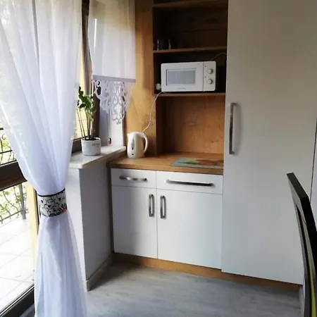 Willa U Samkow Zakopane Exterior photo